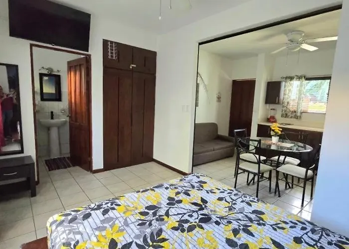 Marina Loft #110 Renovated Near Everything Apartment